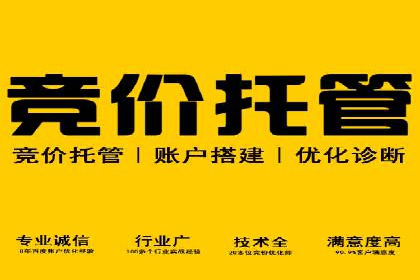 竞价广告投放策略，代运营公司的成功实践